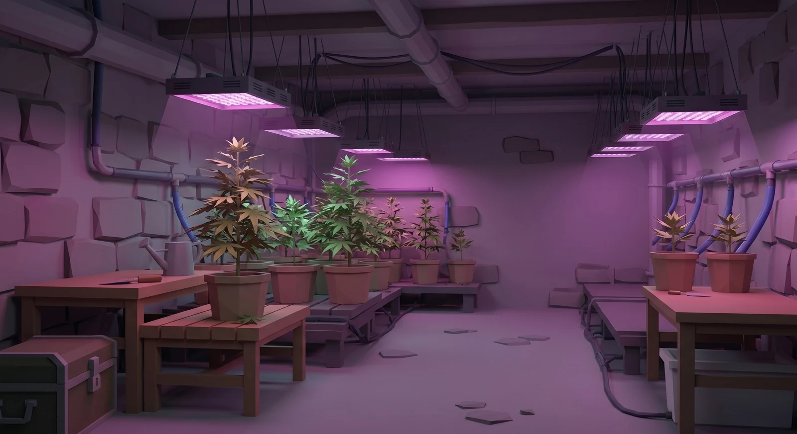 Concept art: a basement grow room under magenta lights. Not tomatoes.